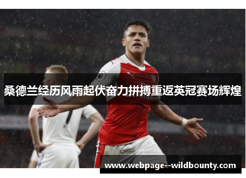 桑德兰经历风雨起伏奋力拼搏重返英冠赛场辉煌 桑德兰经历风雨起伏奋力拼搏重返英冠赛场辉煌