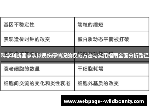 科学判断国家队球员伤停情况的权威方法与实用指南全面分析路径