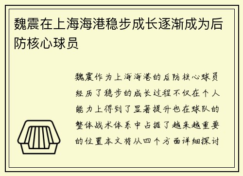 魏震在上海海港稳步成长逐渐成为后防核心球员